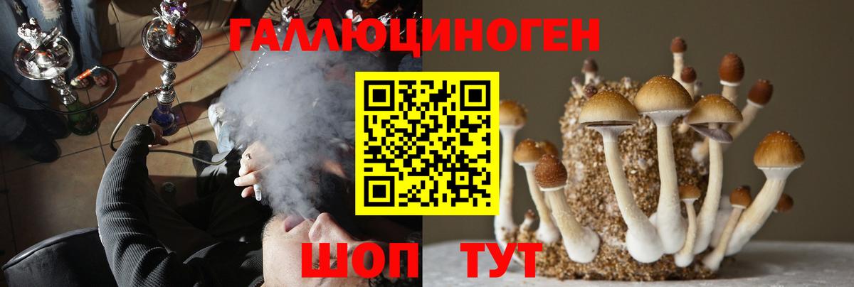 Галлюциногенные грибы Psilocybine cubensis  Вход с VPN  Солнечногорск  Псилоцибиновые грибы Cubensis 